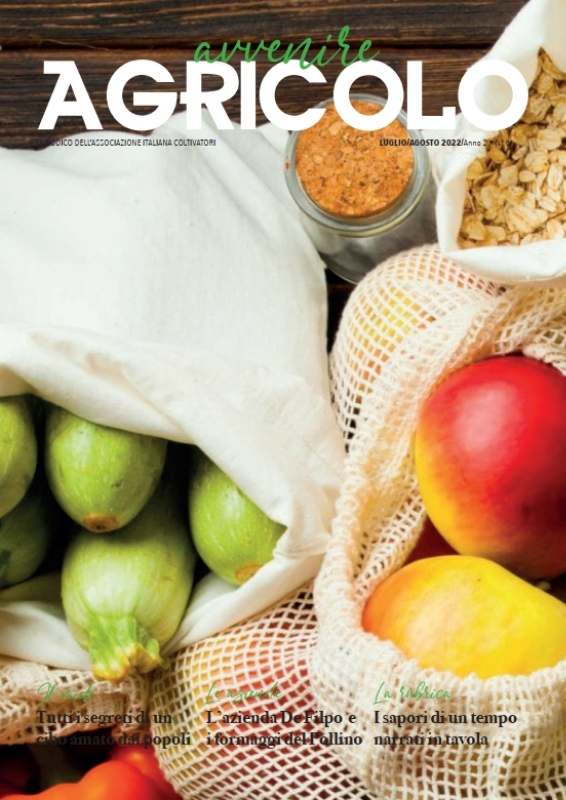 zucchine, frutta, sacchetti di tela, spesa sostenibile, cibo